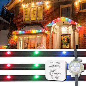 DC12V IP68 RGB Permanent Christmas Light LED Point Light